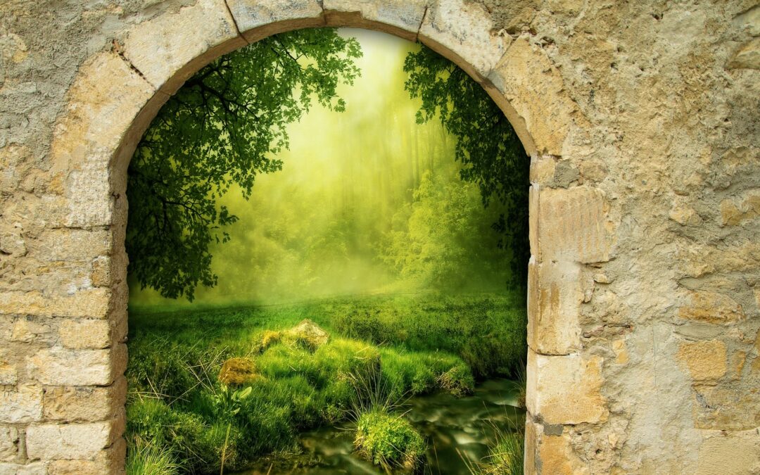 Wall or Portal?