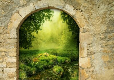 Wall or Portal?