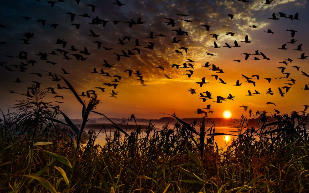 Magical sunset