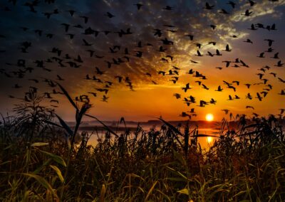 Magical sunset